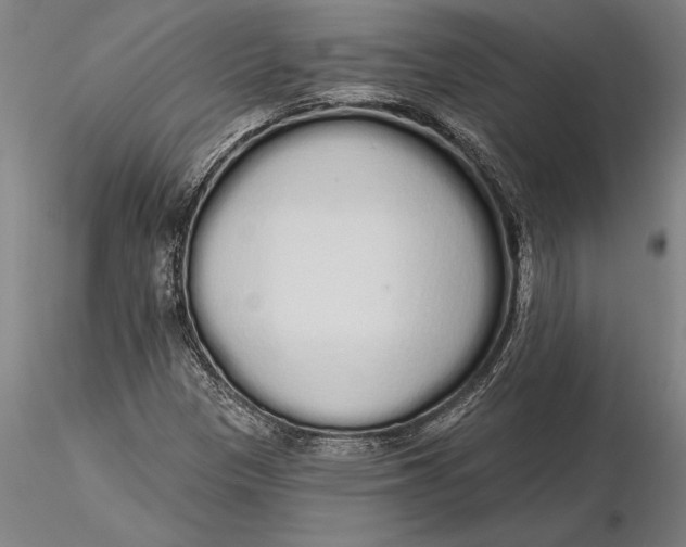 X0000116041305200912111430