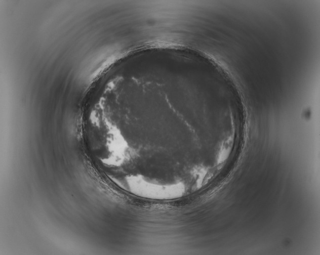 X0000116041306200912111430