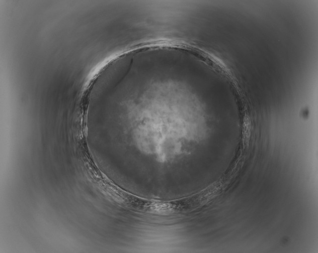 X0000116041310200912111430