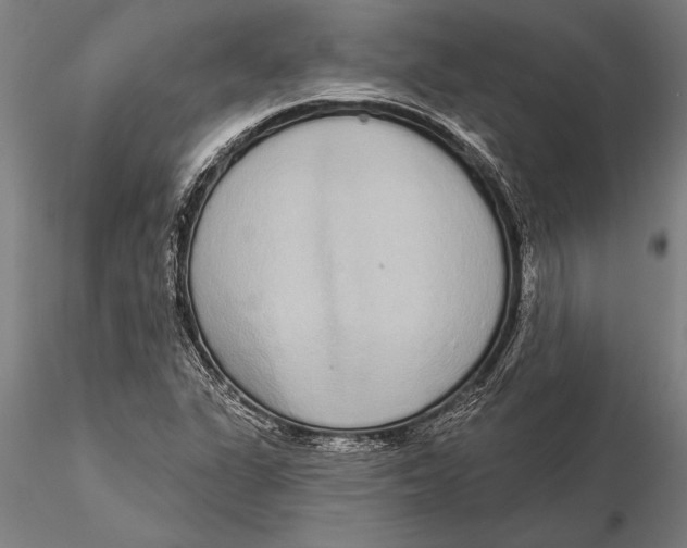 X0000116041311200912111430