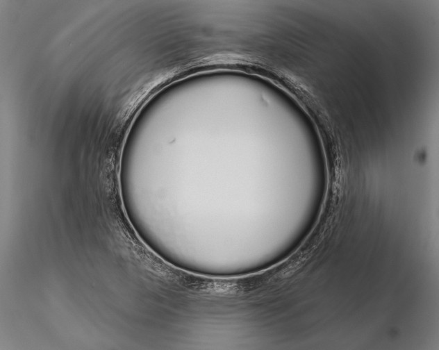 X0000116041313200912111430