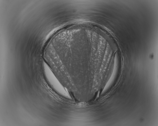 X0000116041314200912111430