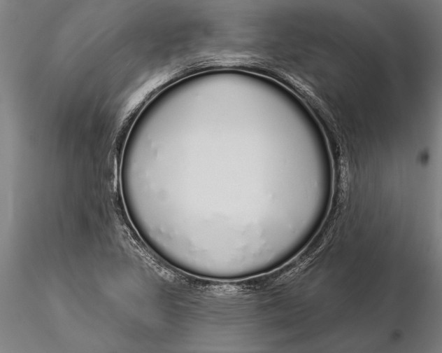 X0000116041317200912111430