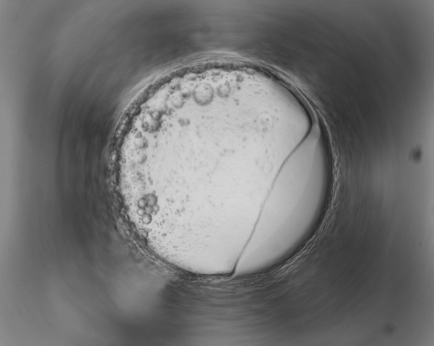 X0000116041318200912111430