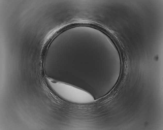 X0000116041319200912111430