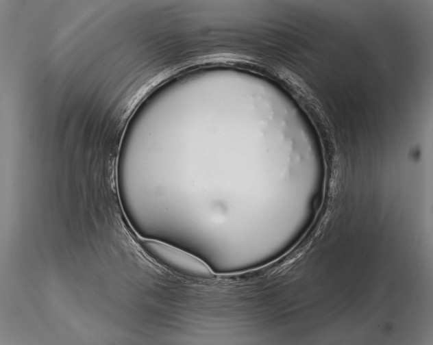 X0000116041321200912111430