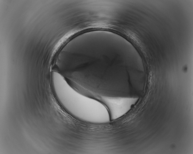 X0000116041323200912111430