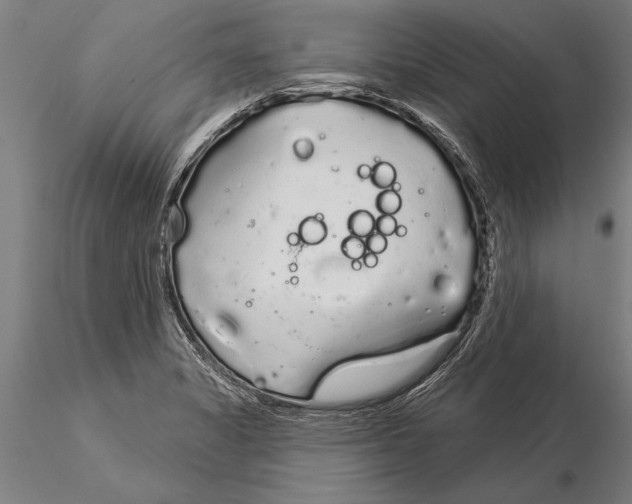 X0000116041325200912111430