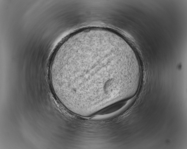 X0000116041326200912111430