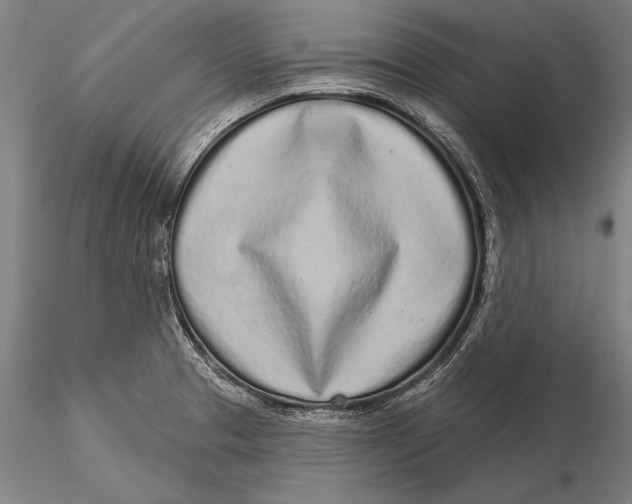 X0000116041329200912111430