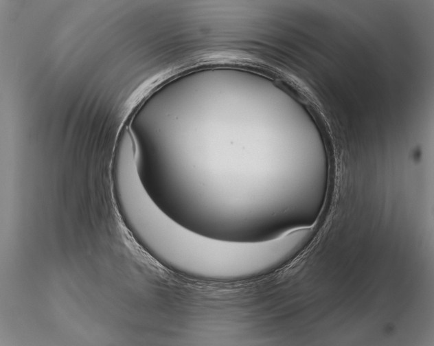 X0000116041330200912111430