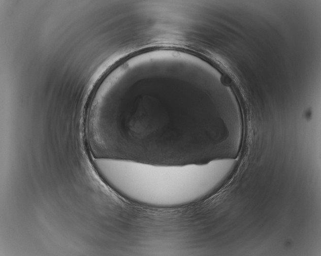 X0000116041331200912111430