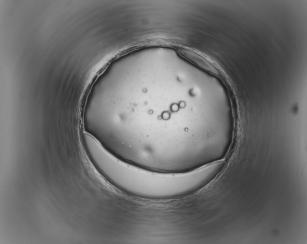 X0000116041333200912111430