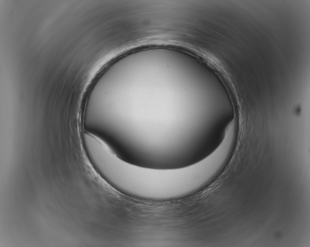 X0000116041334200912111430