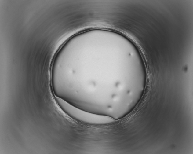 X0000116041335200912111430