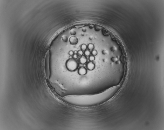 X0000116041337200912111430