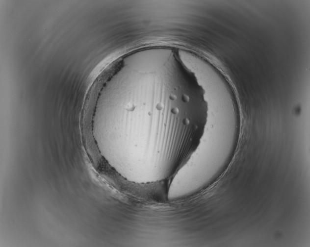 X0000116041338200912111430