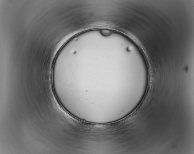 X0000116041339200912111430