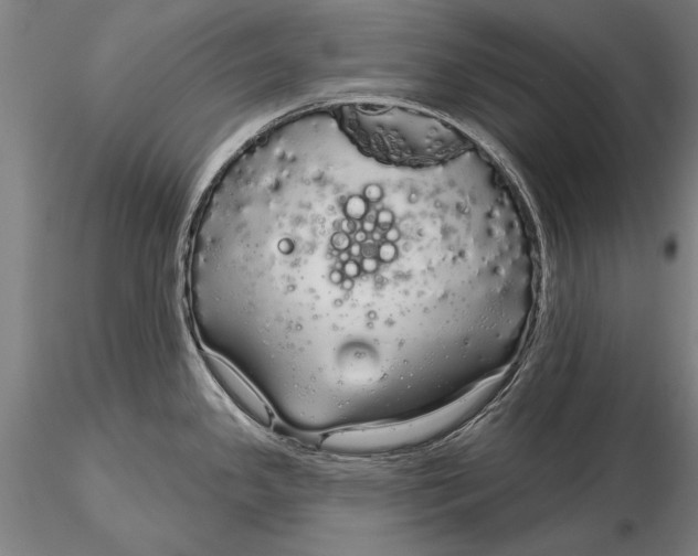 X0000116041341200912111430