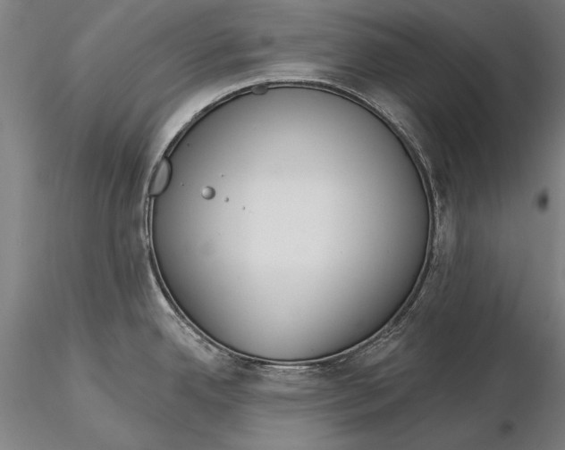 X0000116041342200912111430