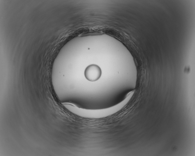 X0000116041345200912111430