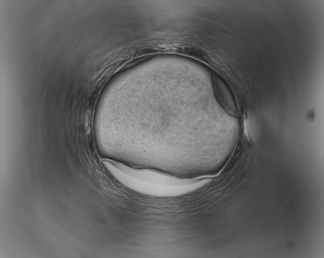 X0000116041347200912111430