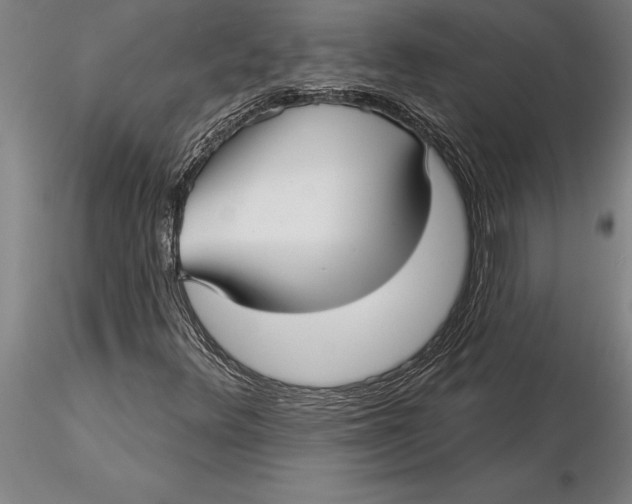 X0000116041348200912111430