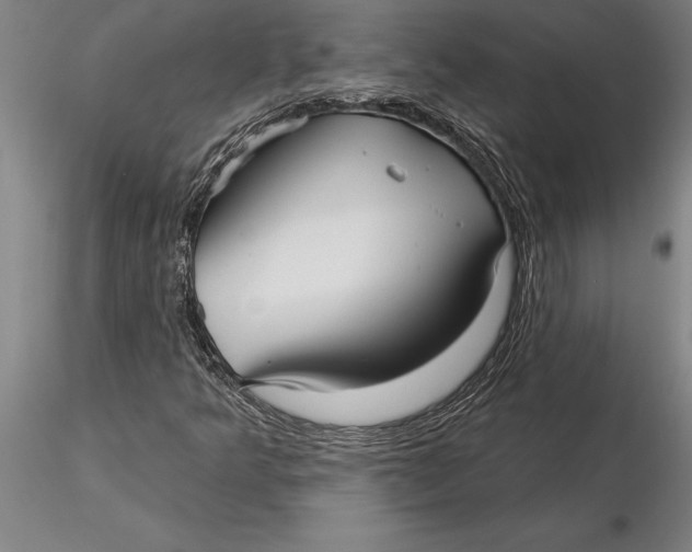 X0000116041349200912111430