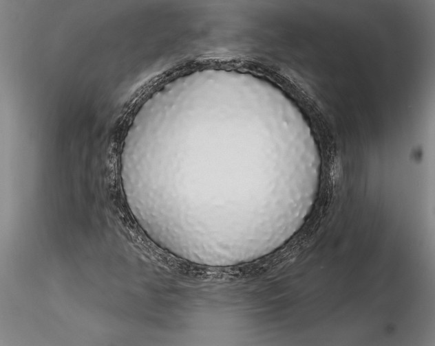 X0000116041350200912111430