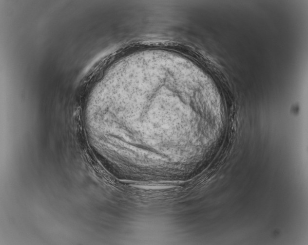 X0000116041351200912111430