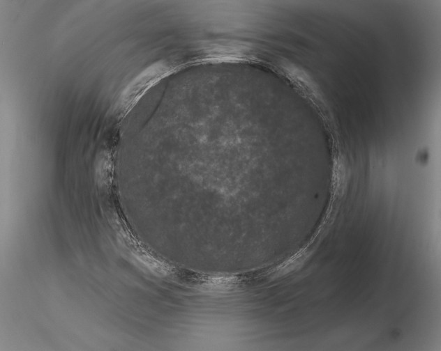 X0000116041353200912111430