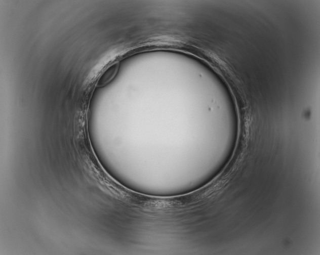 X0000116041355200912111430