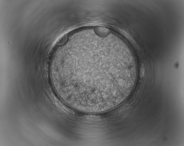 X0000116041356200912111430