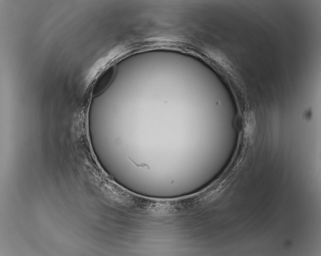 X0000116041357200912111430