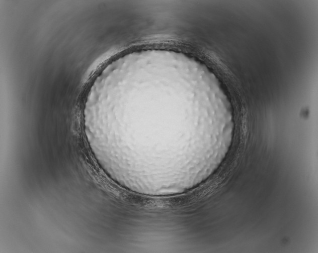 X0000116041358200912111430