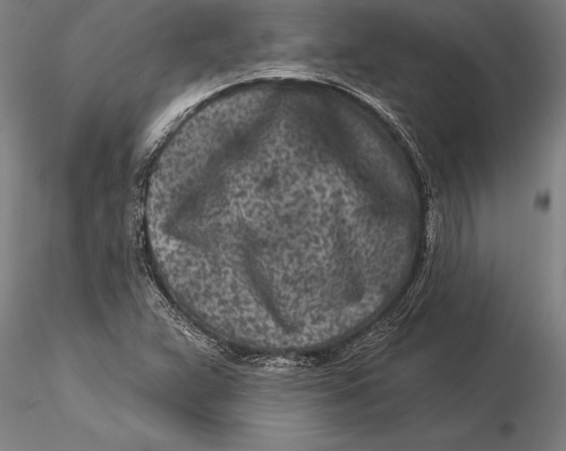 X0000116041359200912111430