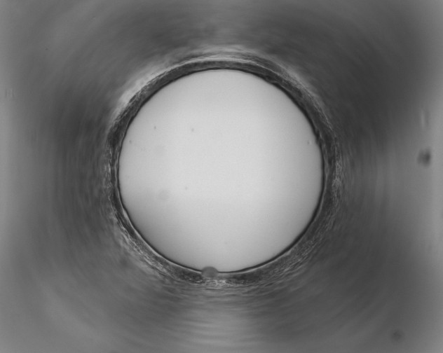 X0000116041360200912111430