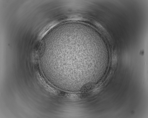 X0000116041361200912111430