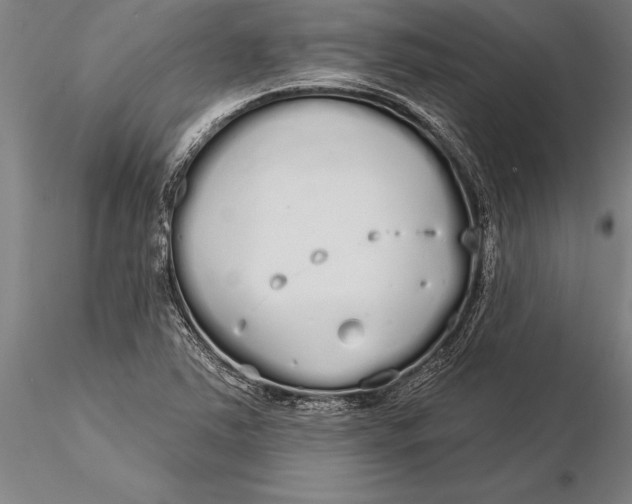 X0000116041363200912111429