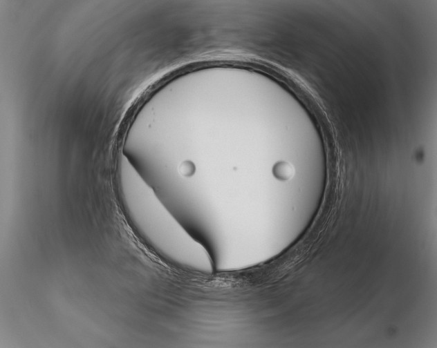 X0000116041364200912111429