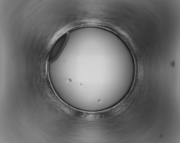 X0000116041365200912111429