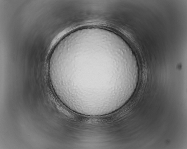 X0000116041366200912111429