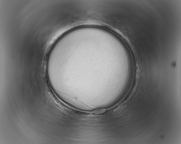 X0000116041367200912111429