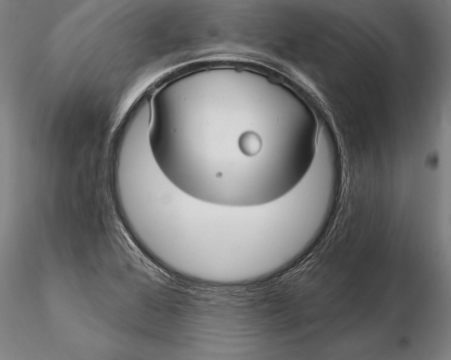 X0000116041368200912111429