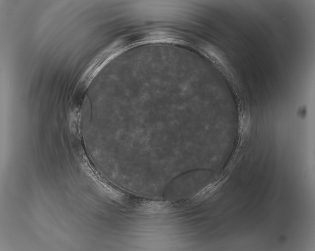 X0000116041369200912111429