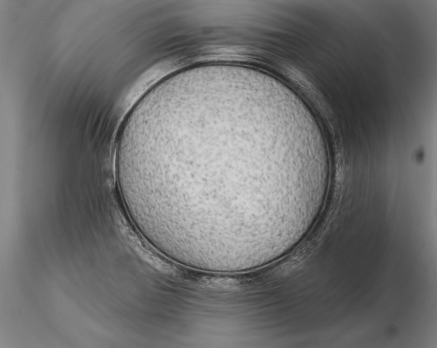 X0000116041370200912111429