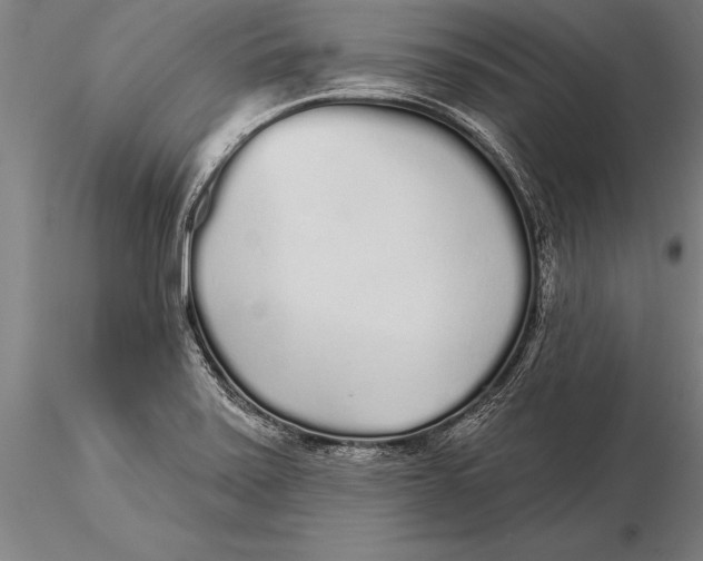 X0000116041371200912111429