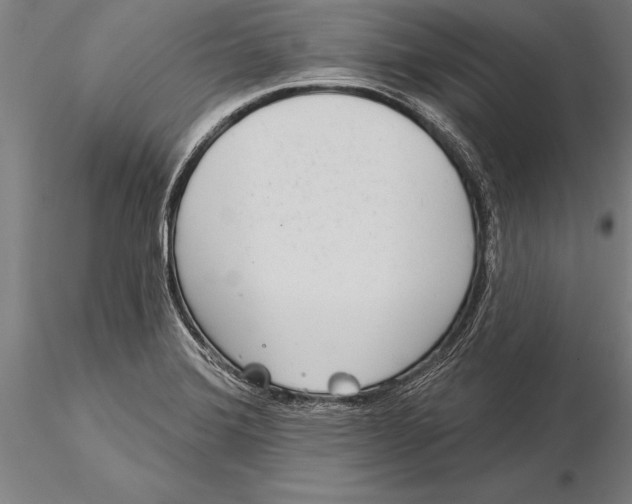 X0000116041372200912111429