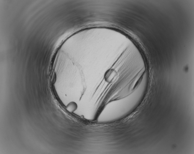 X0000116041373200912111429