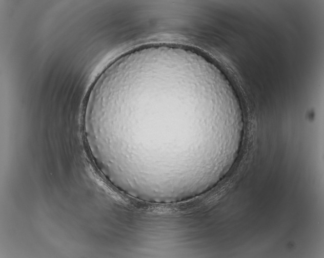 X0000116041374200912111429